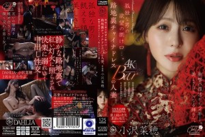 DLDSS-509 一个孤独男人的慾望出口…一位在后巷中式服饰店打工的已婚女子。两年后，她惊艷回归，美貌更加耀眼。小泽菜穗